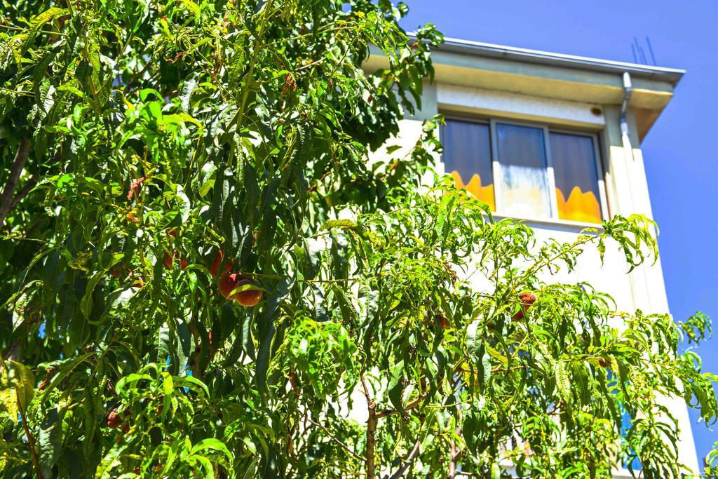 Pemaj Hostel Shkodër Exterior foto